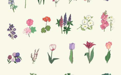 Blumen und Gemüse